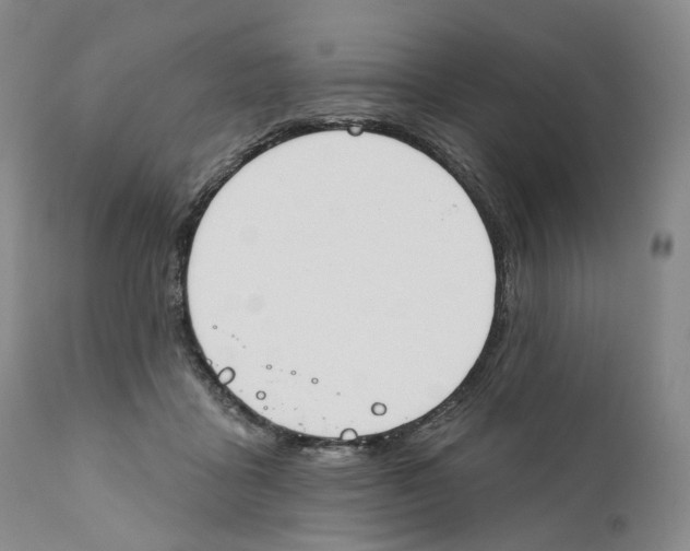 X0000110900411200907161556