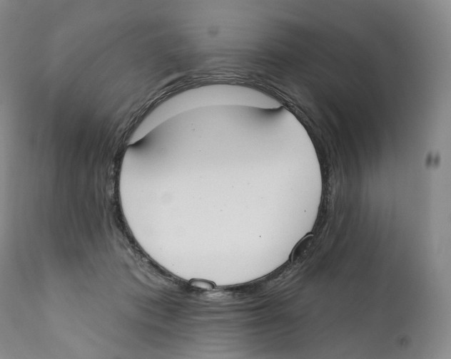 X0000110900413200907161556