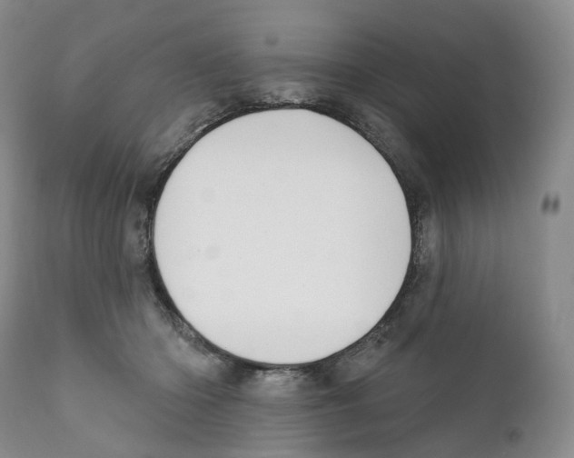 X0000110900414200907161556