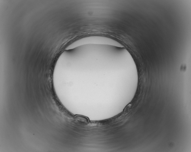 X0000110900415200907161556