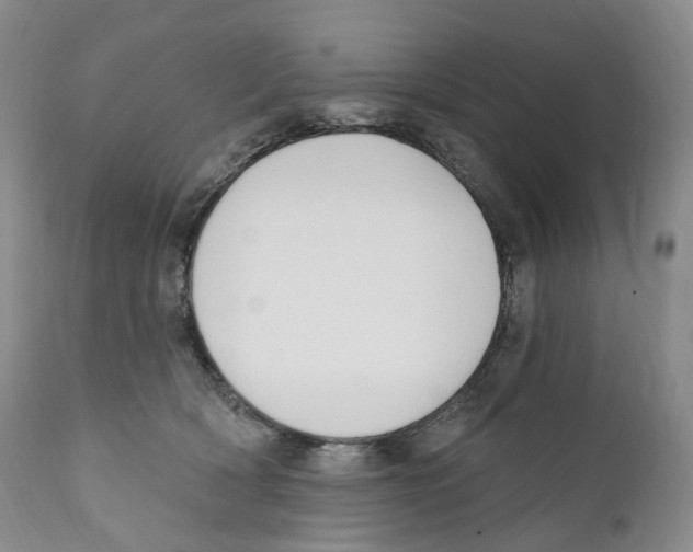 X0000110900418200907161556