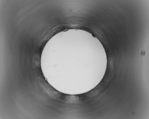 X0000110900421200907161556