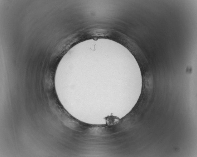 X0000110900422200907161556