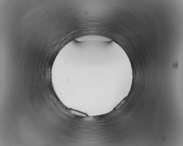 X0000110900425200907161556