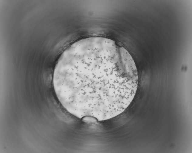 X0000110900427200907161556