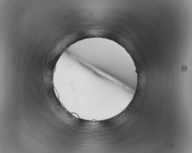 X0000110900428200907161556