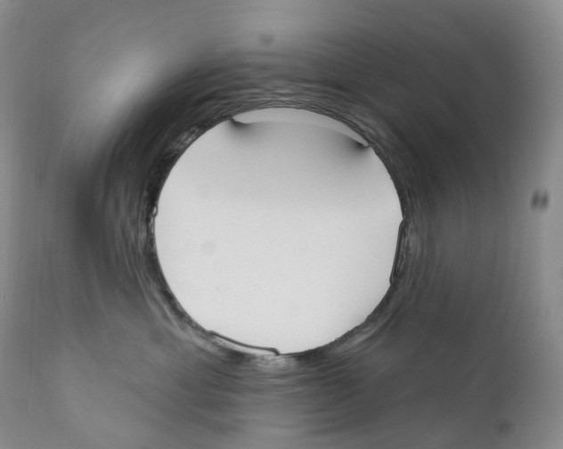 X0000110900429200907161556