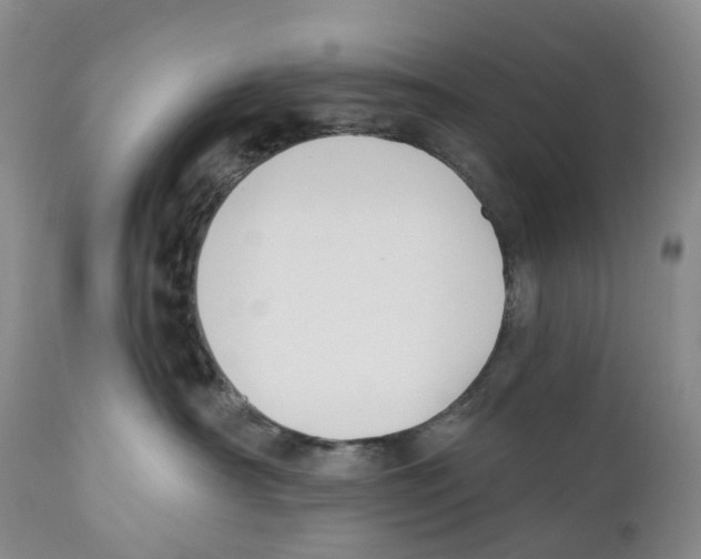 X0000110900430200907161556