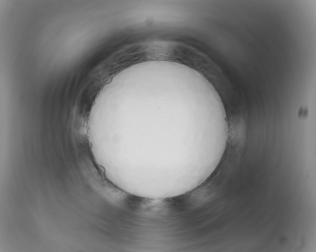 X0000110900431200907161556