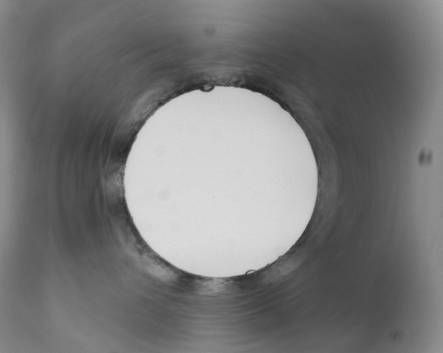 X0000110900432200907161556