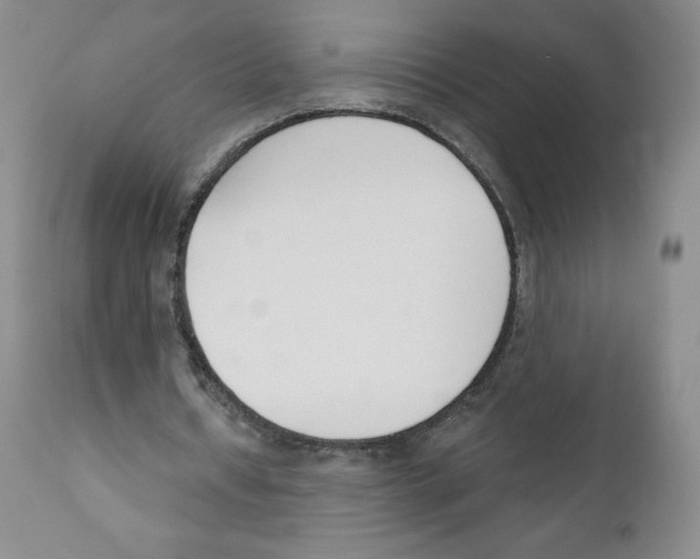 X0000110900434200907161555