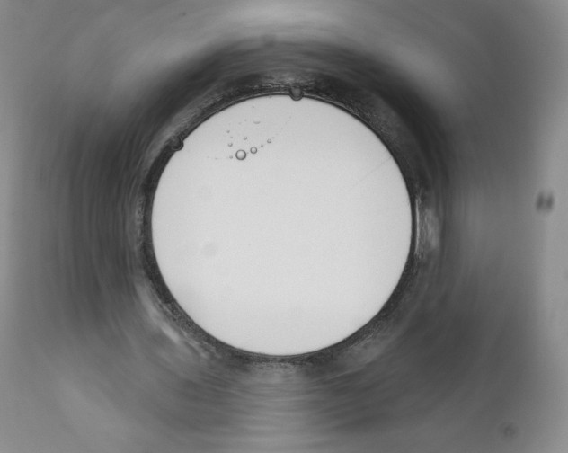 X0000110900435200907161555