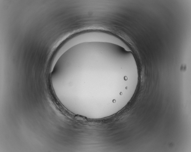 X0000110900436200907161555