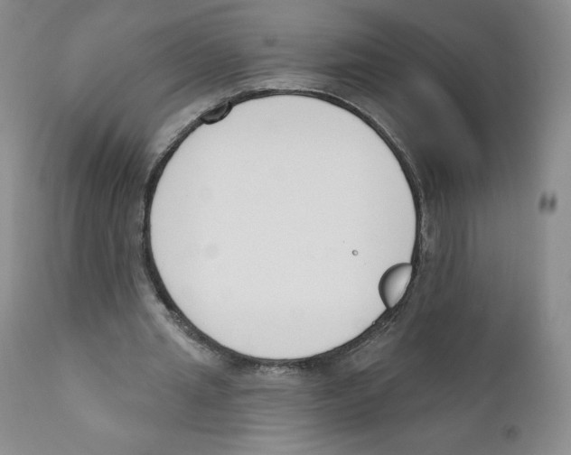 X0000110900437200907161555