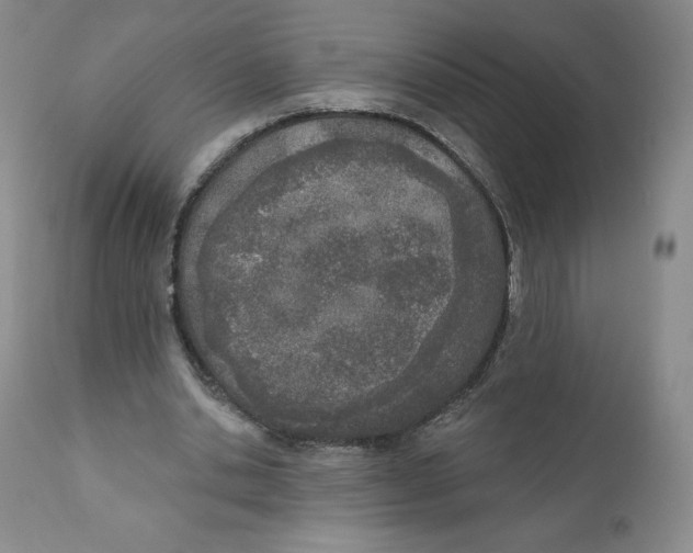 X0000110900438200907161556