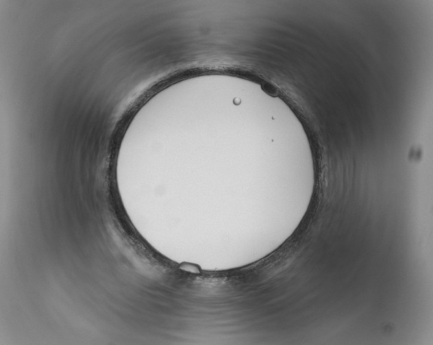 X0000110900440200907161556