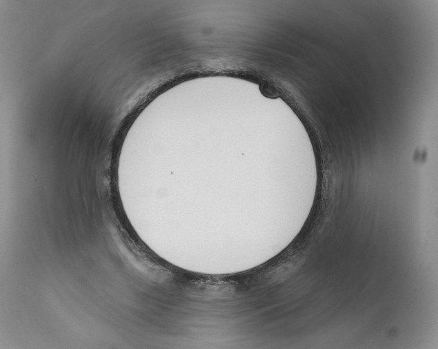 X0000110900443200907161556