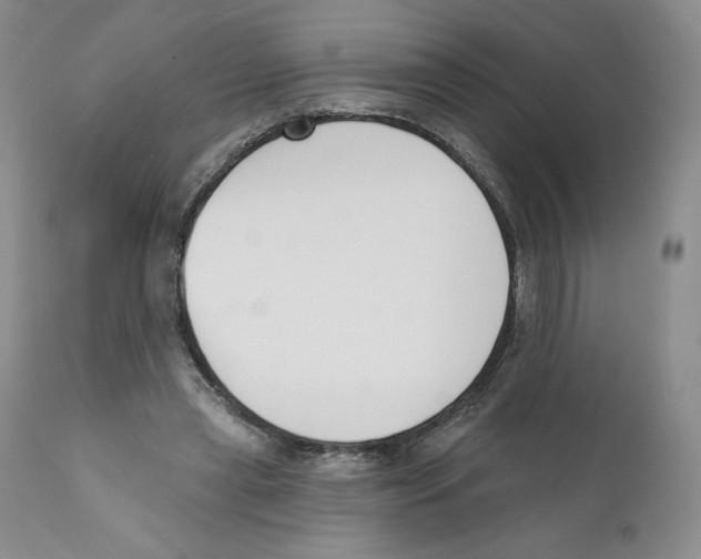 X0000110900445200907161556