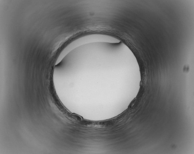 X0000110900448200907161556