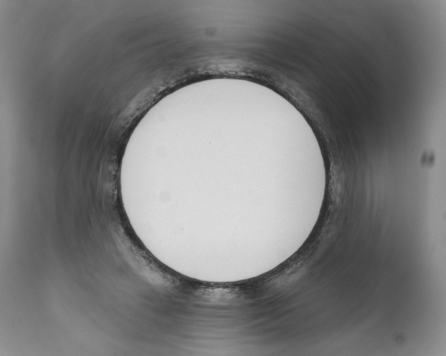 X0000110900449200907161556