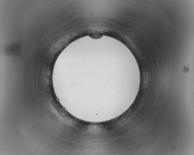 X0000110900451200907161556