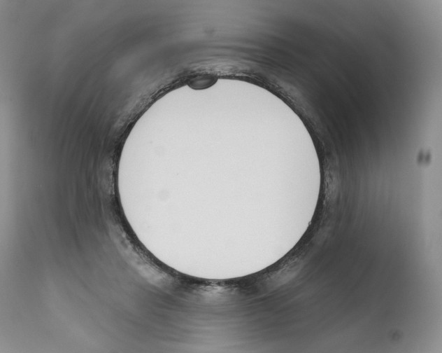 X0000110900453200907161556