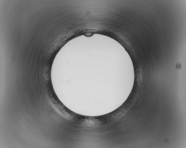 X0000110900455200907161556