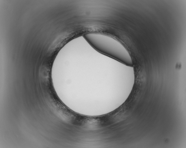 X0000110900456200907161556