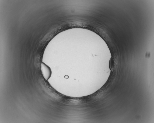 X0000110900457200907161556