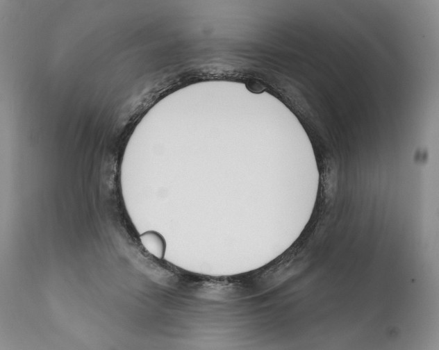 X0000110900458200907161556