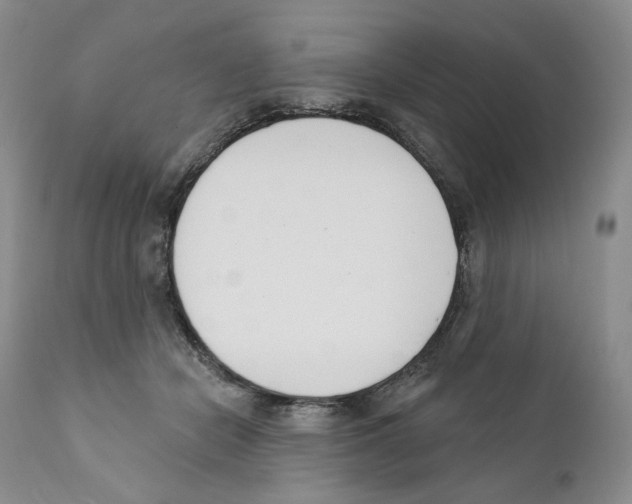 X0000110900462200907161556