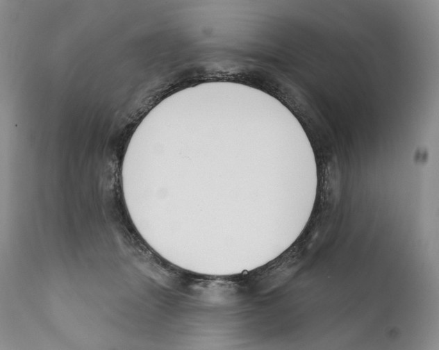 X0000110900463200907161556