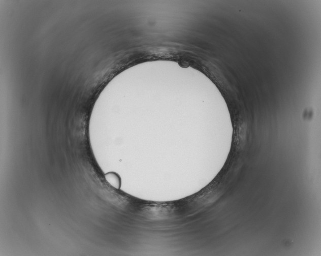 X0000110900466200907161556