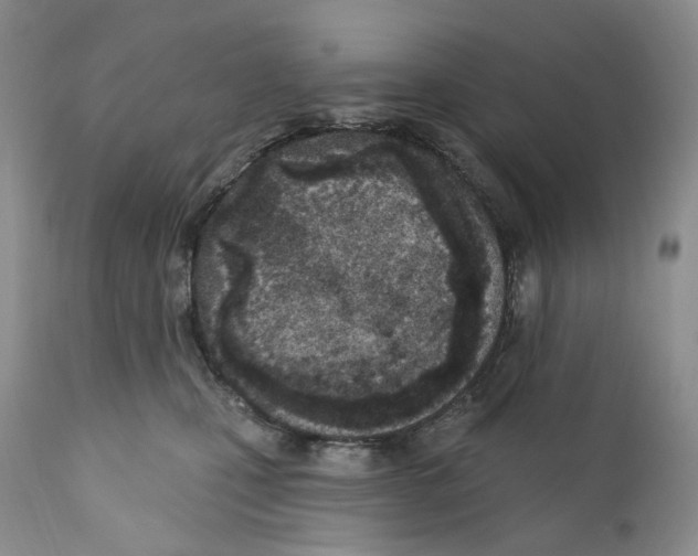 X0000110900471200907161556