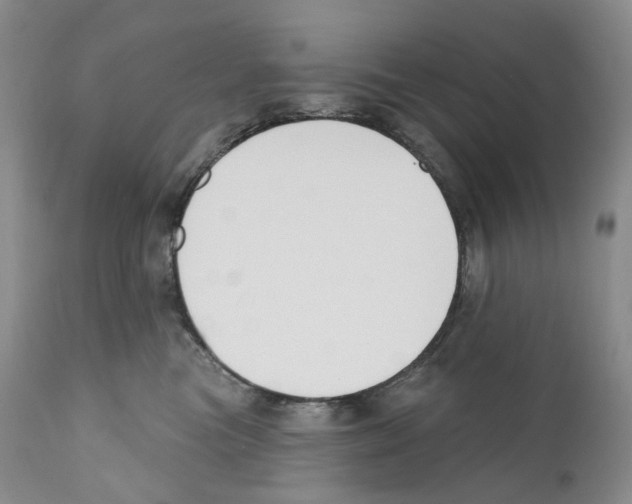 X0000110900473200907161556