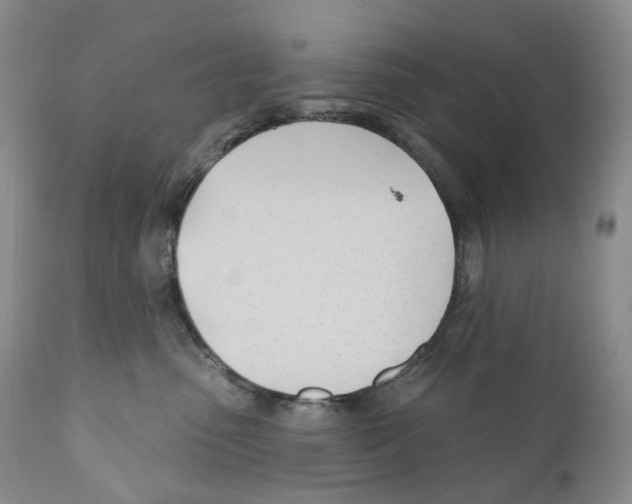 X0000110900475200907161556