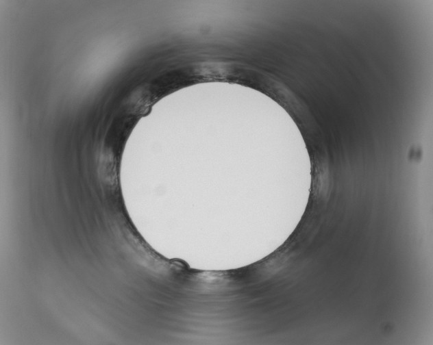 X0000110900477200907161556