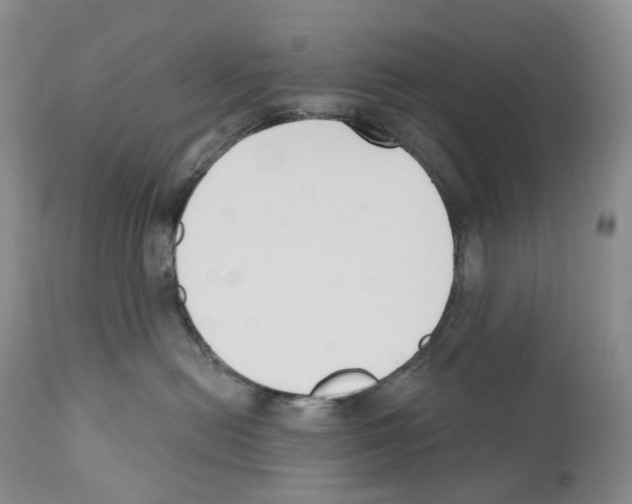 X0000110900478200907161556