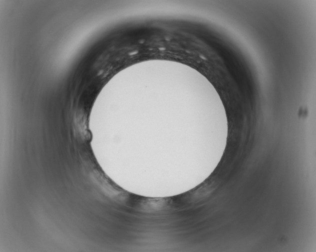 X0000110900479200907161556