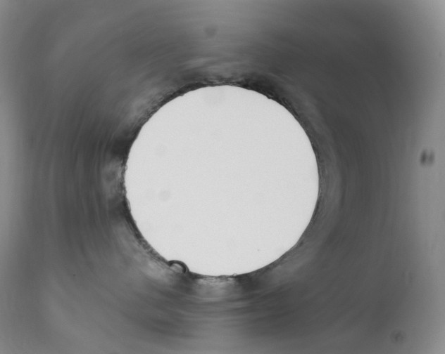 X0000110900480200907161556