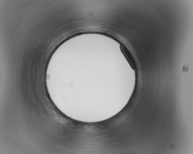 X0000110900481200907161555