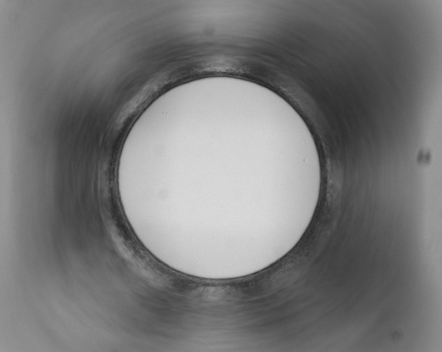 X0000110900482200907161555