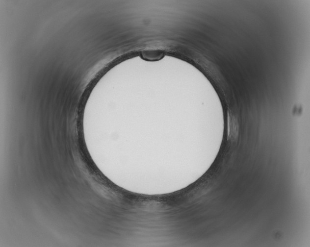 X0000110900483200907161555