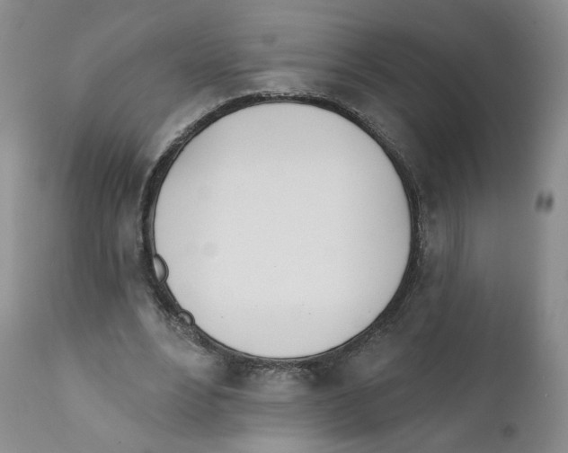 X0000110900488200907161555