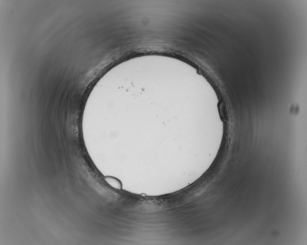 X0000110900489200907161555