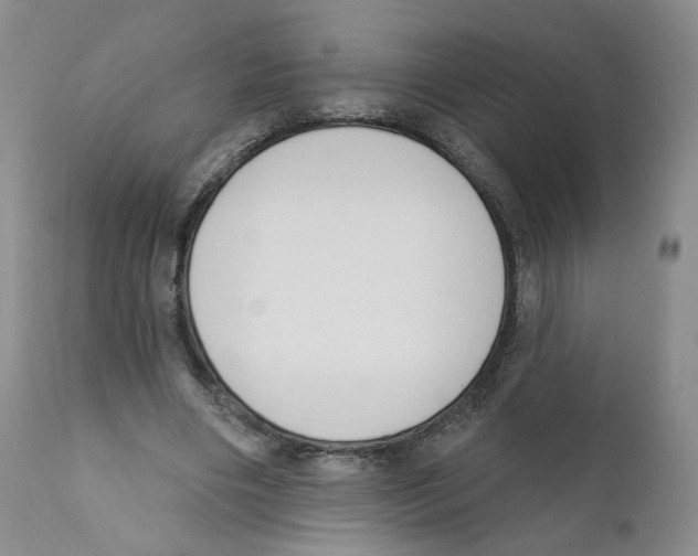 X0000110900490200907161555