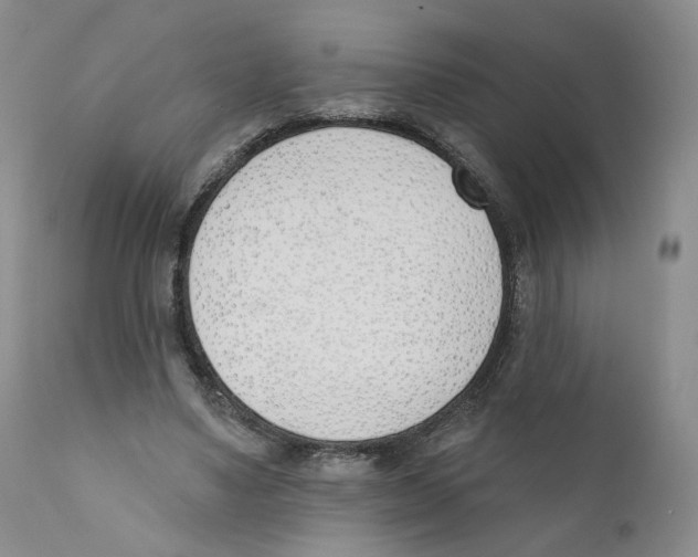 X0000110900491200907161555