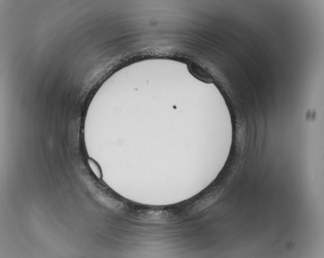 X0000110900493200907161555