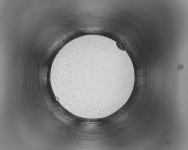 X0000110900495200907161555