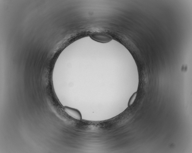 X0000110900496200907161555